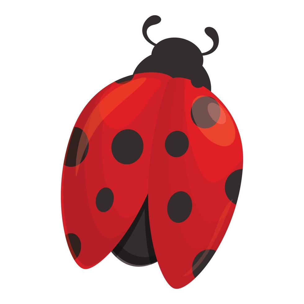 vecteur de dessin animé d'icône de coccinelle de printemps. insecte coccinelle