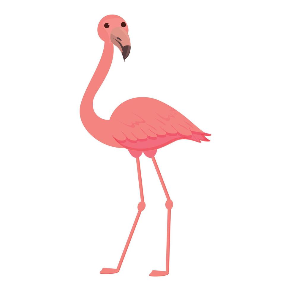 vecteur de dessin animé d'icône de flamant tropical. oiseau mignon rose