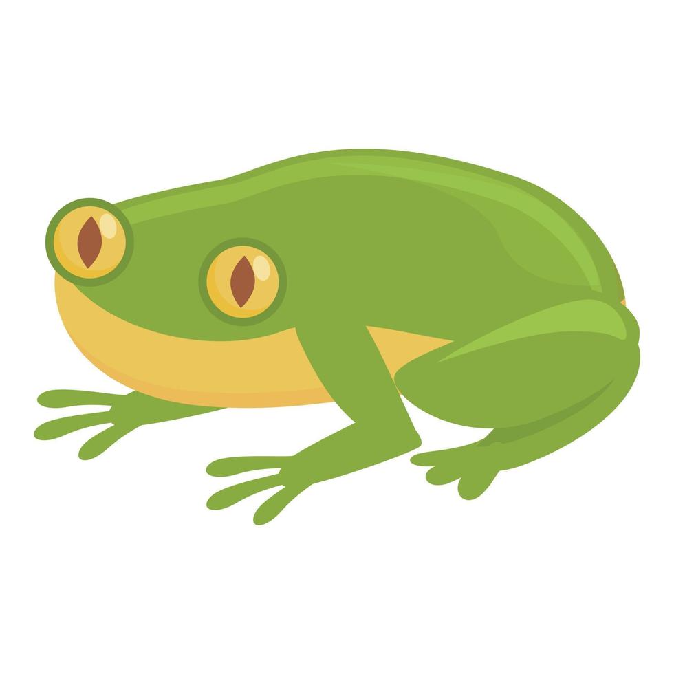 vecteur de dessin animé icône grenouille jaune. animal mignon