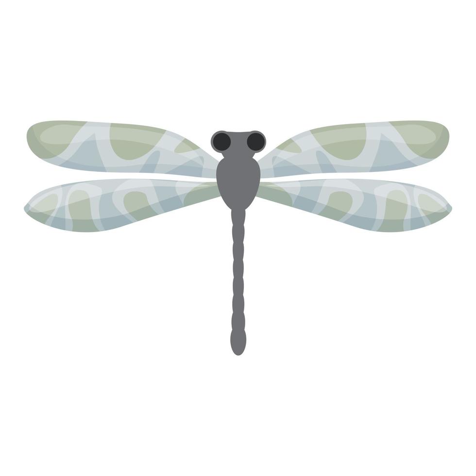vecteur de dessin animé icône libellule grise. aile insecte