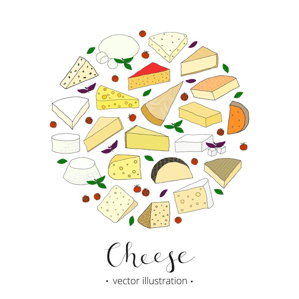 fromage dessiné à la main composé en forme de cercle. vecteur