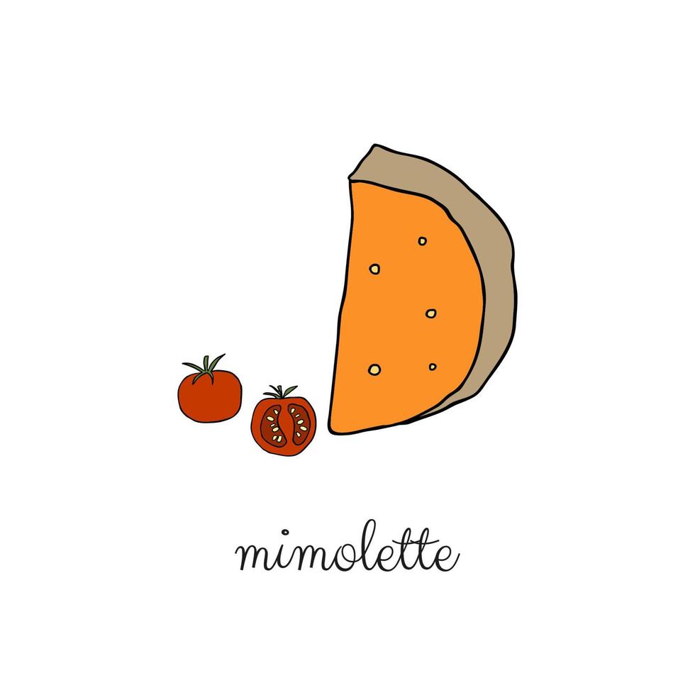 fromage mimolette dessiné à la main. vecteur