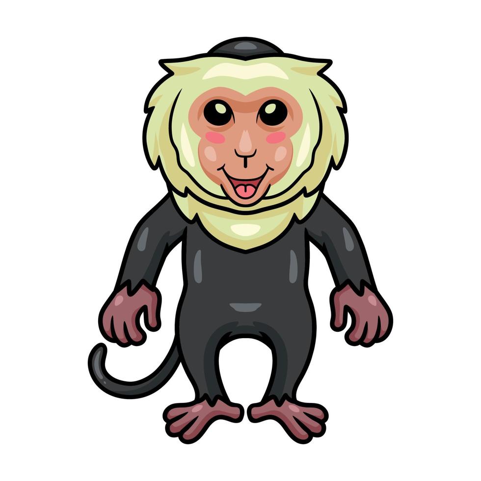 dessin animé mignon petit singe capucin vecteur