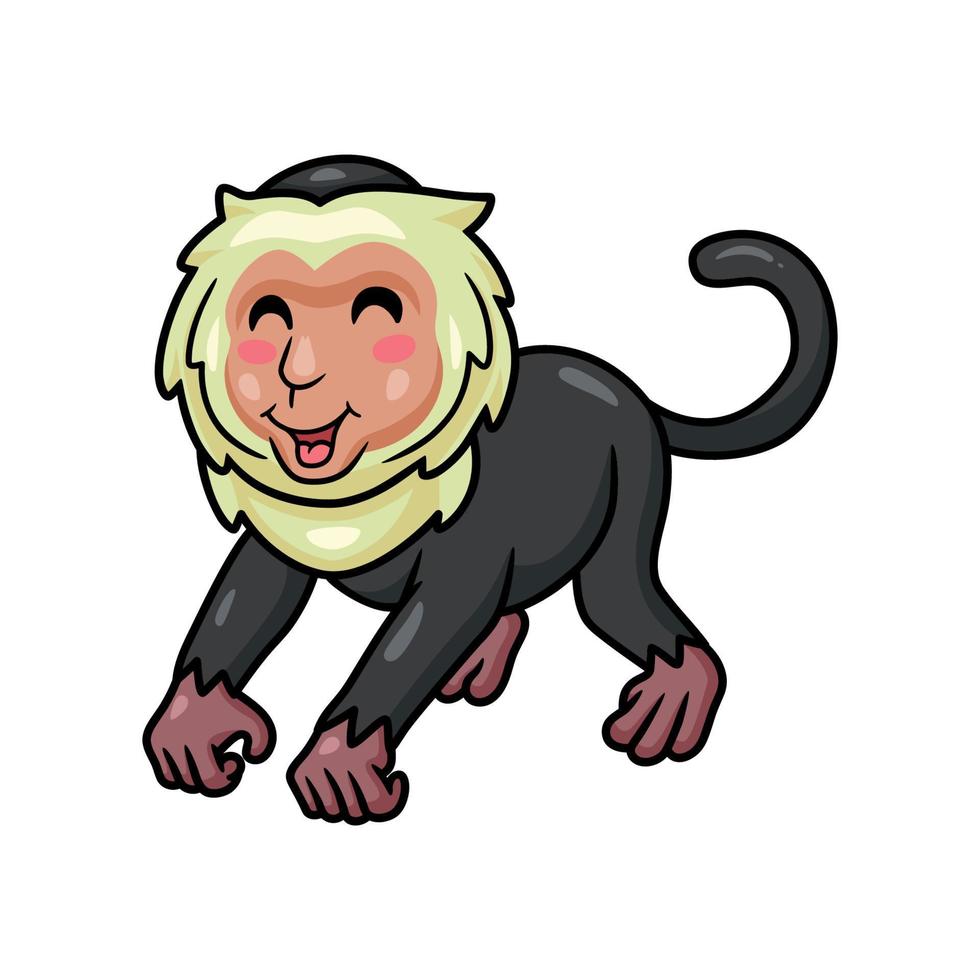 dessin animé mignon petit singe capucin vecteur