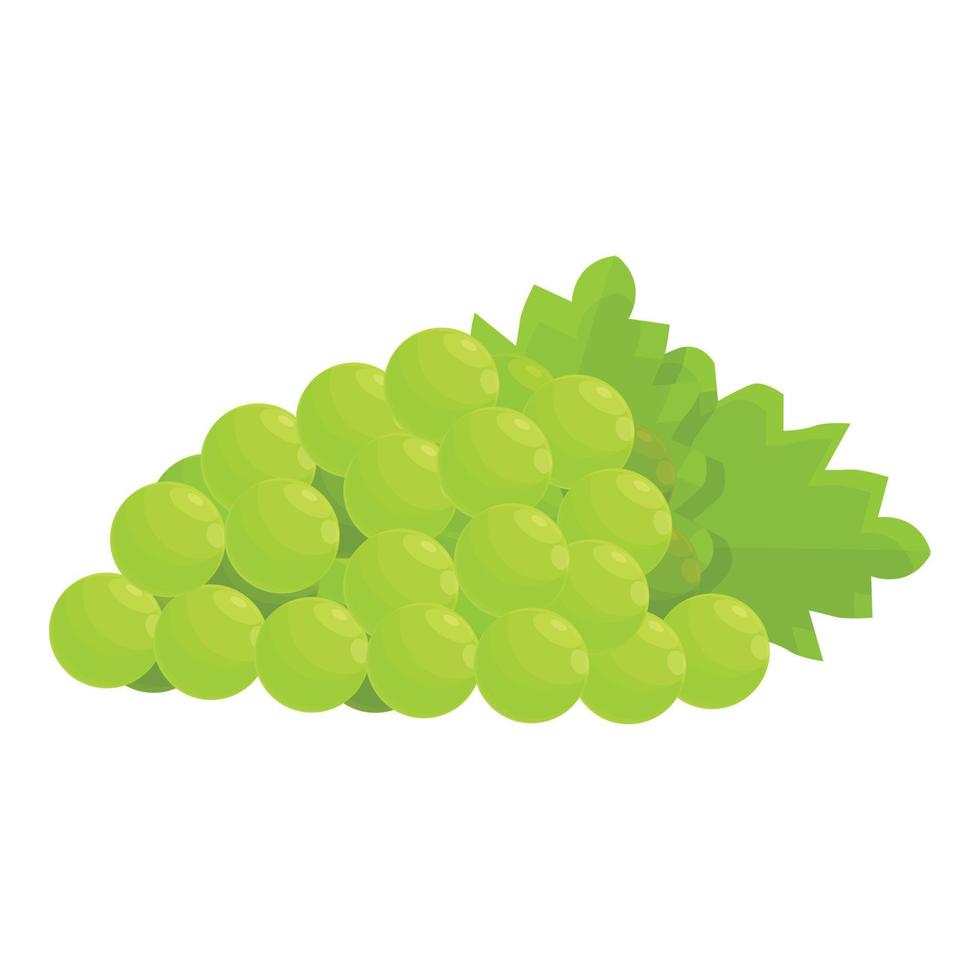 vecteur de dessin animé d'icône de raisins verts français. raisin de cuve de france