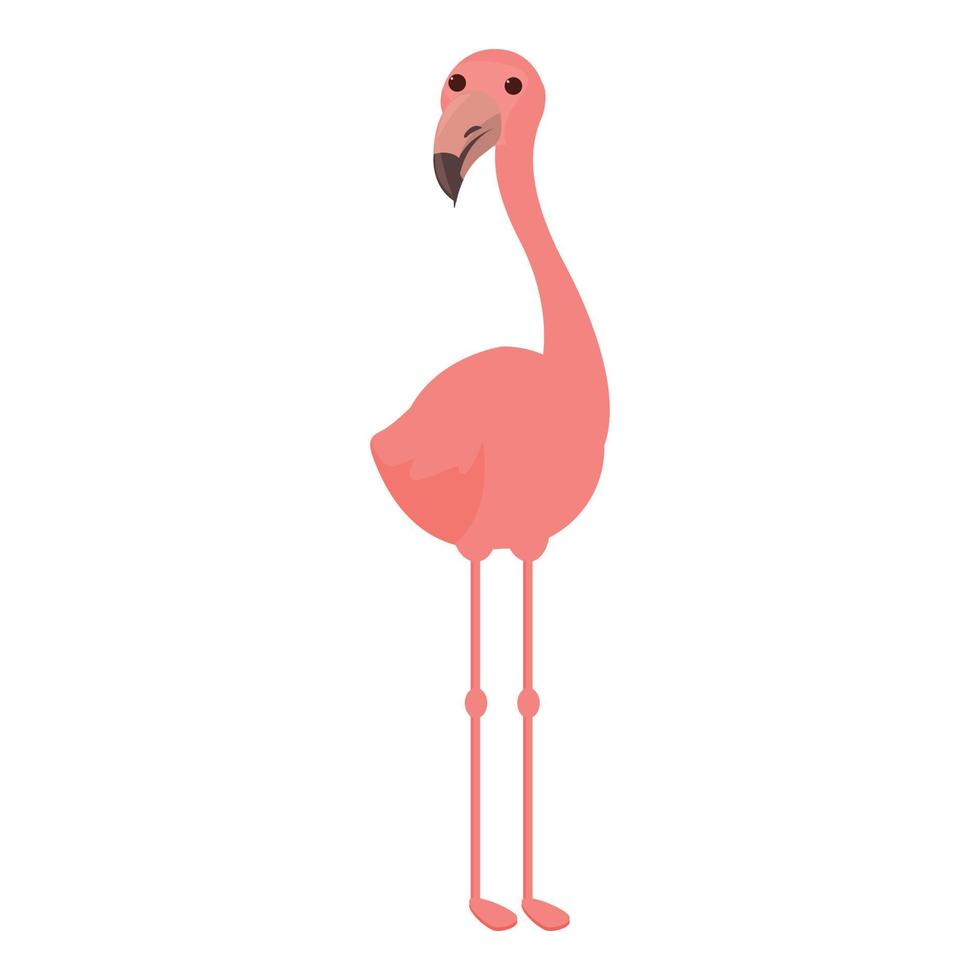 vecteur de dessin animé icône zoo flamingo. oiseau tropical