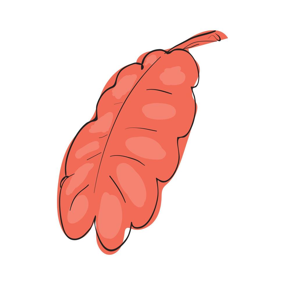icône de feuille de chêne rouge, style cartoon vecteur