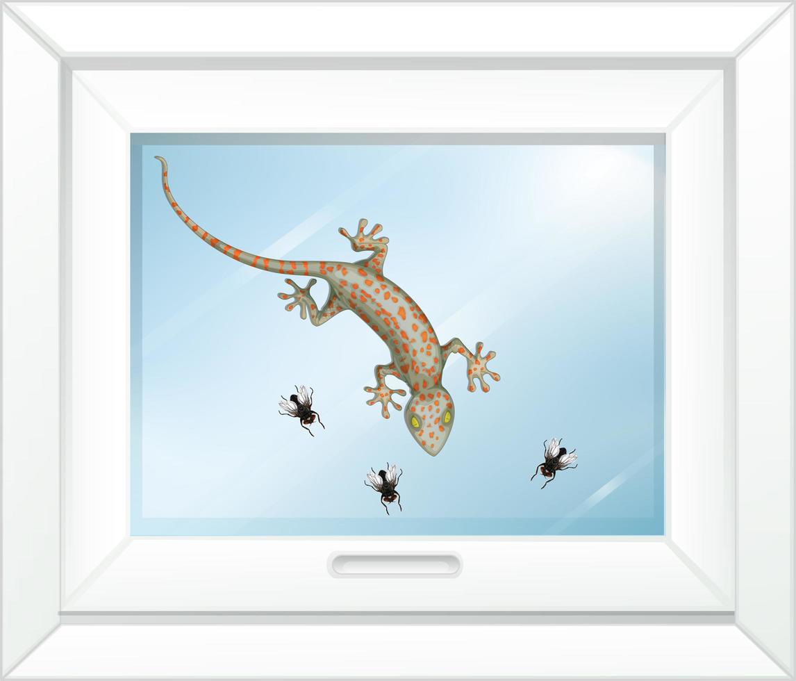 gecko sur vitre vecteur