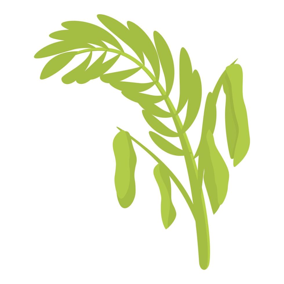 vecteur de dessin animé d'icône de plante de lentilles. plante de lentille de haricot