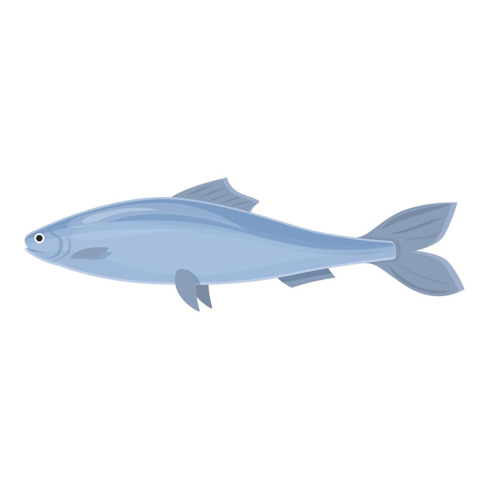 vecteur de dessin animé d'icône de poisson saumon. hareng de mer