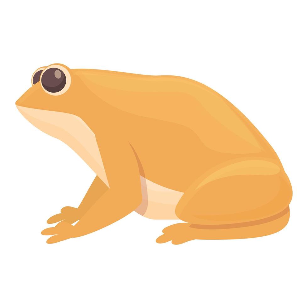 vecteur de dessin animé icône grenouille orange. sourire animal