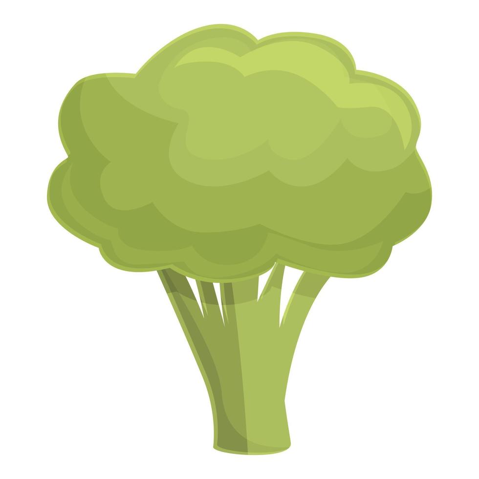 vecteur de dessin animé d'icône de brocoli. salade verte