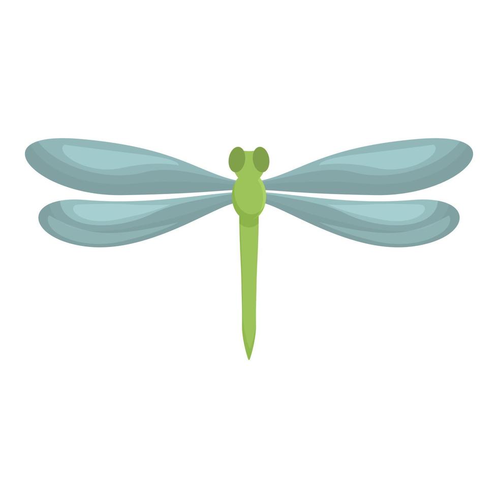 vecteur de dessin animé d'icône de bogue de mouche. aile insecte