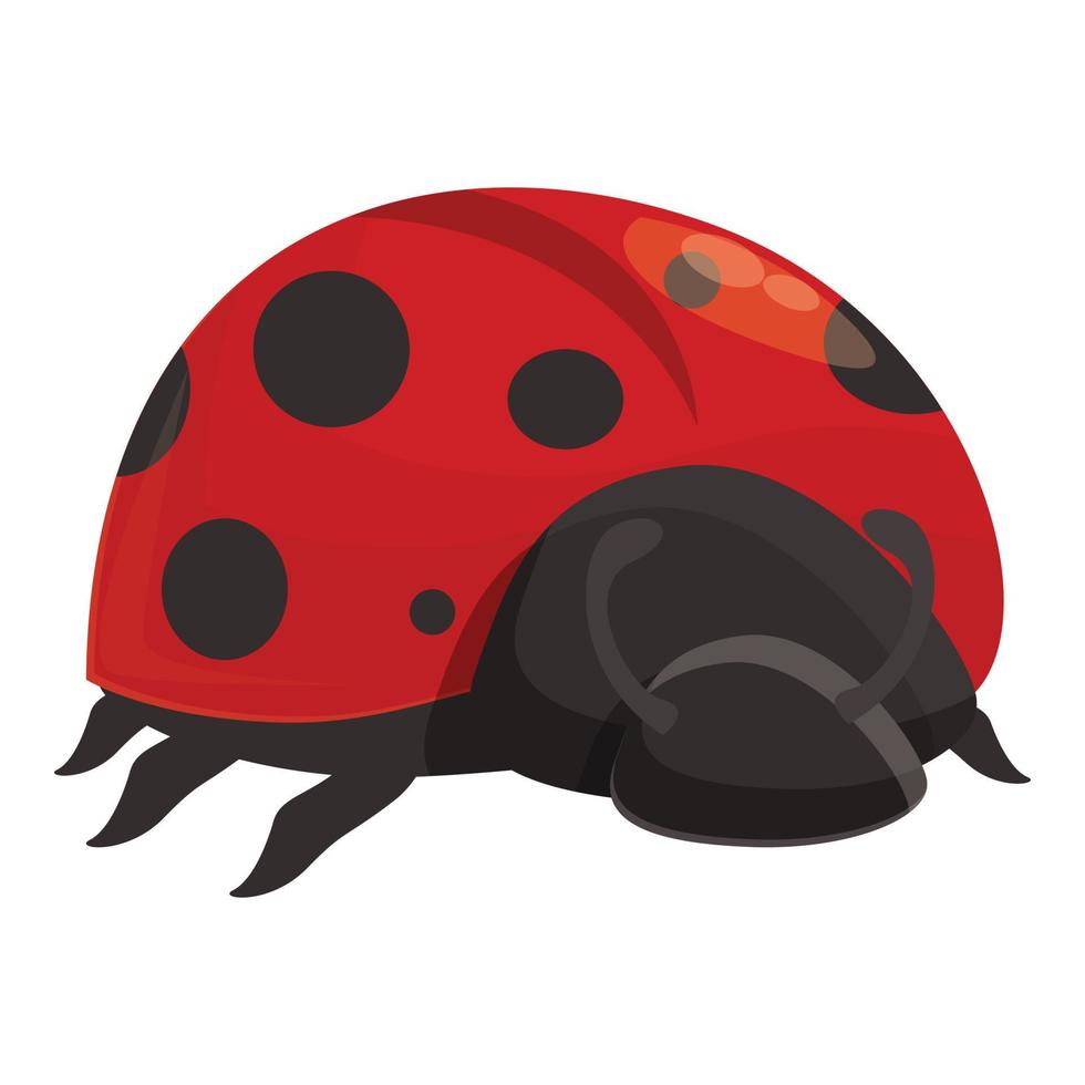 vecteur de dessin animé d'icône de coccinelle d'été. coccinelle