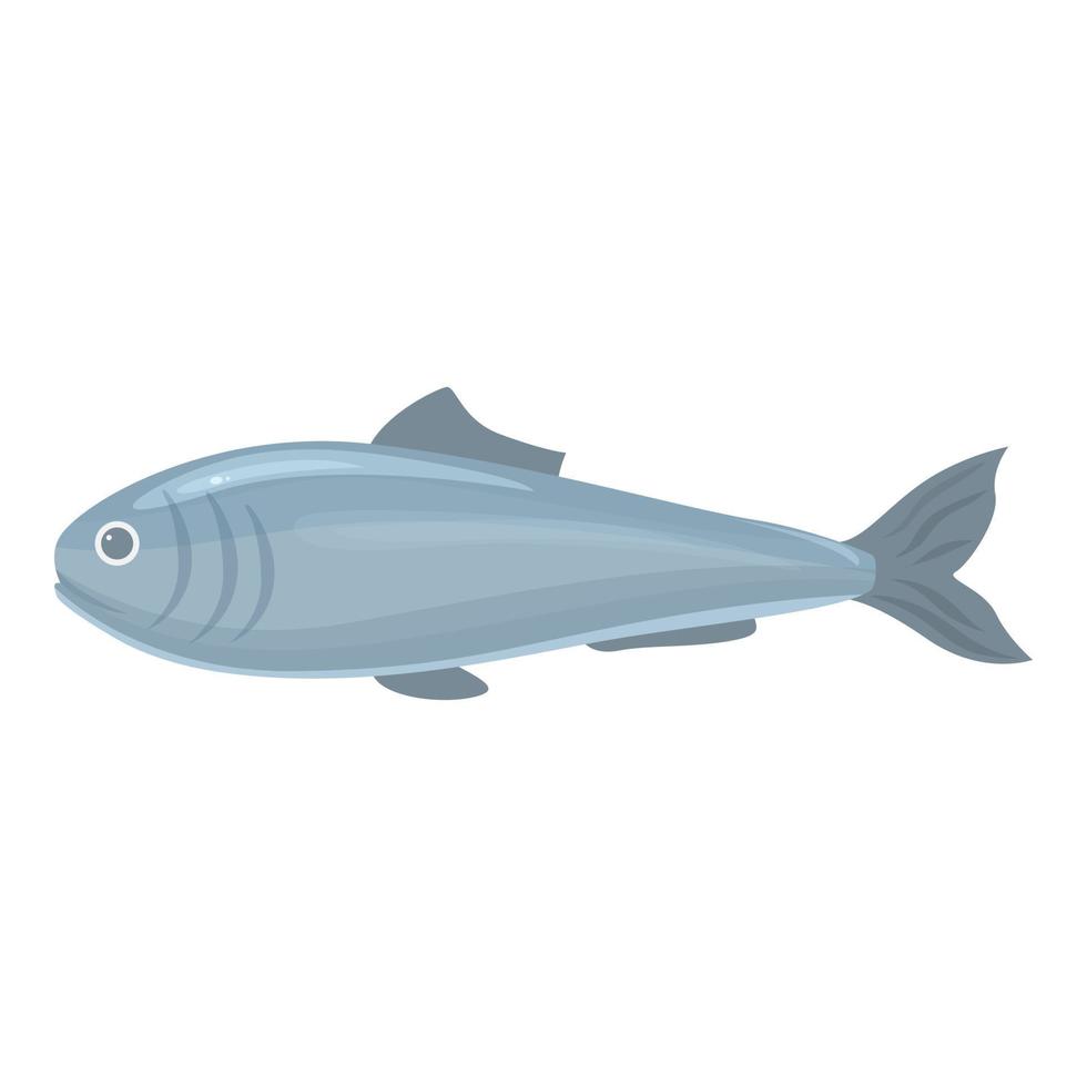 vecteur de dessin animé d'icône de hareng de mer. poisson baltique