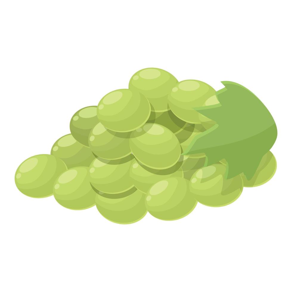 vecteur de dessin animé d'icône de raisins blancs. alcool de vin