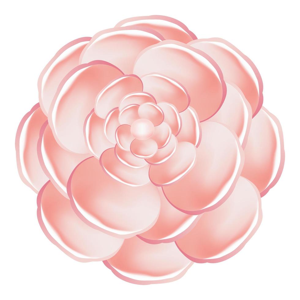 icône de camélia rose clair, style cartoon vecteur