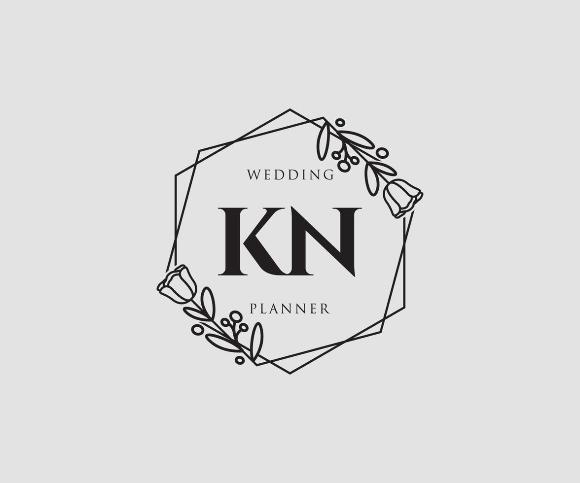 logo féminin kn initial. utilisable pour les logos nature, salon, spa, cosmétique et beauté. élément de modèle de conception de logo vectoriel plat.