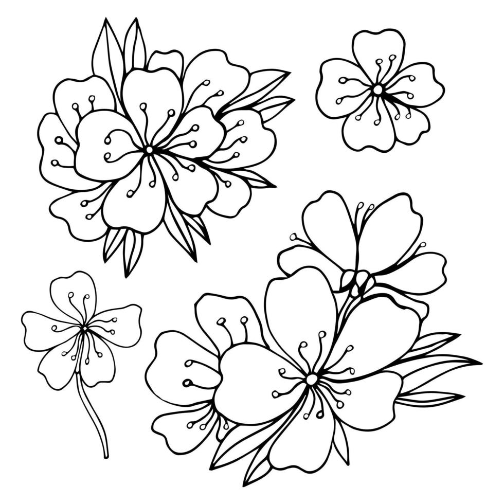 sakura graphique fleur noir blanc isolé croquis ensemble illustration vecteur