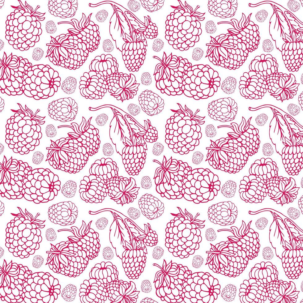 motif aux framboises. illustration vectorielle vecteur