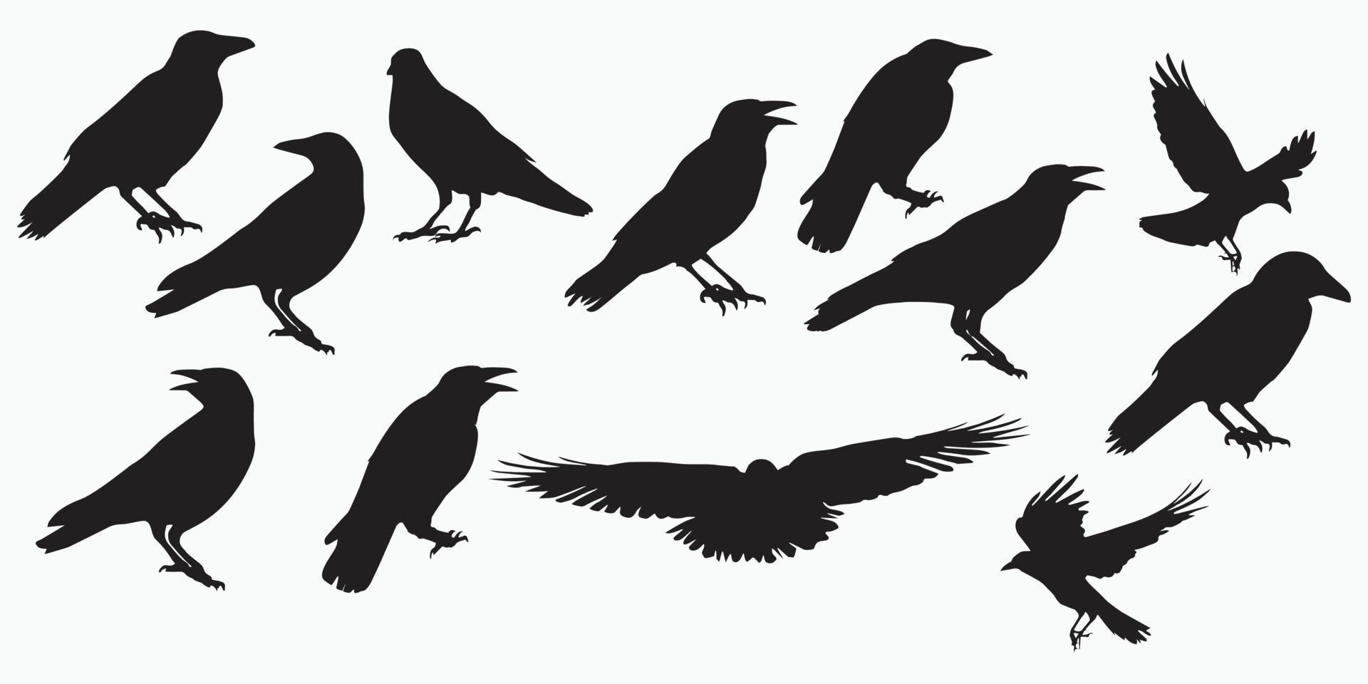 l'illustration vectorielle de corbeau en couleur noir et blanc peut être utilisée pour la décoration d'arrière-plan eps10 vecteur