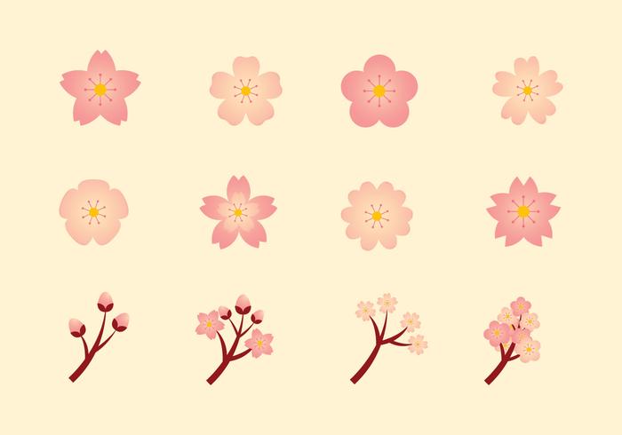 Vector Peach Blossom