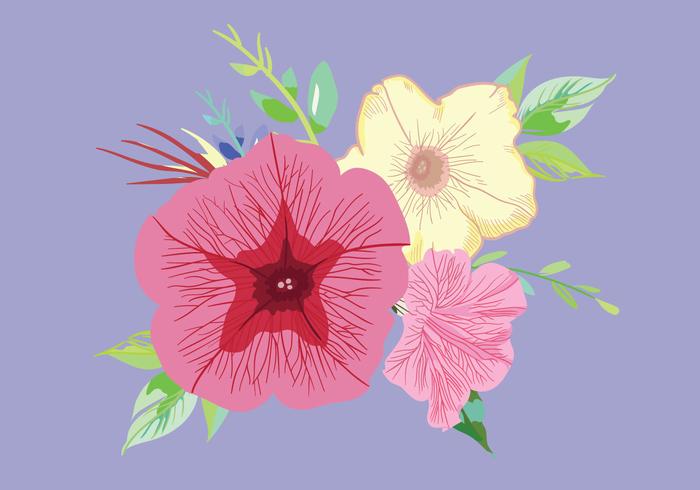 Vecteur de bouquet de pétunia