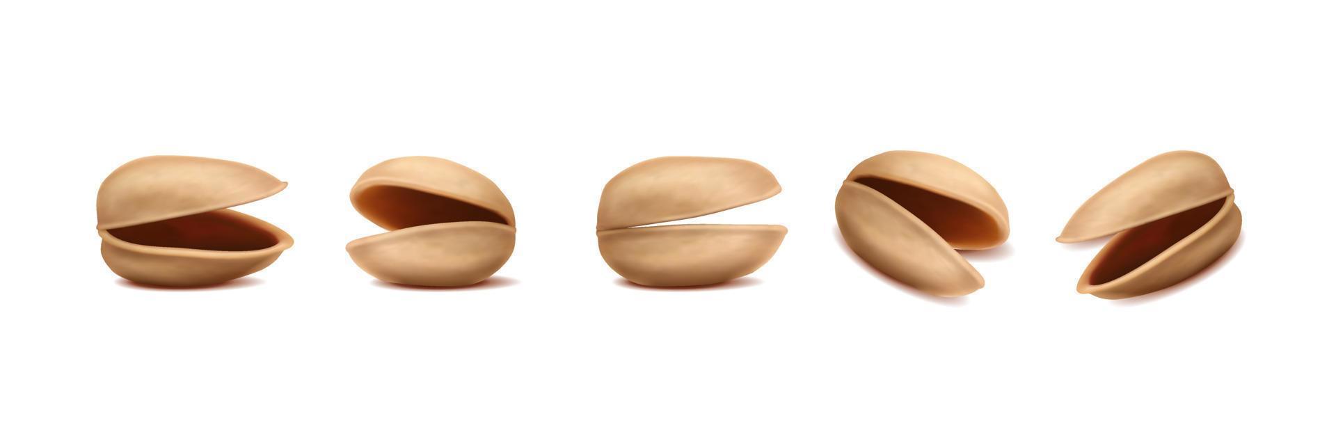 icône de vecteur réaliste 3D. pistaches décortiquées de différentes formes.