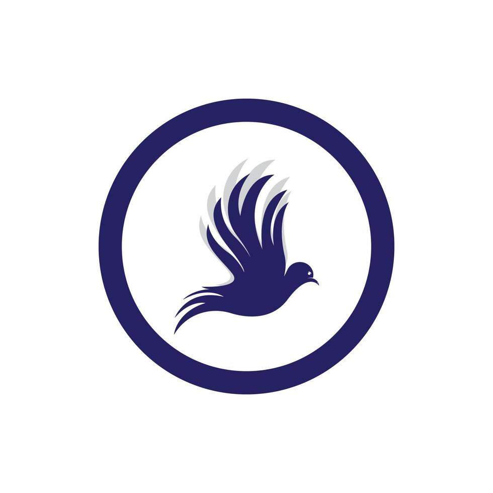 modèle de logo colombe aile oiseau vecteur