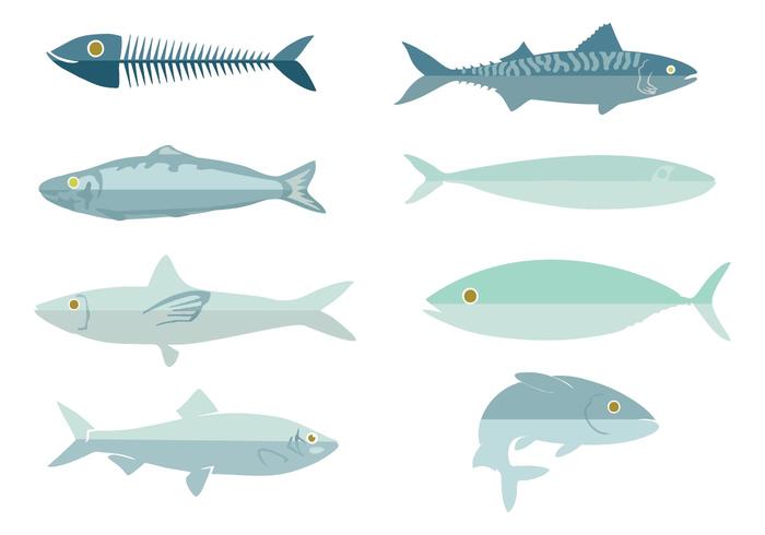 Fresh Fish gratuit Sardine Vector