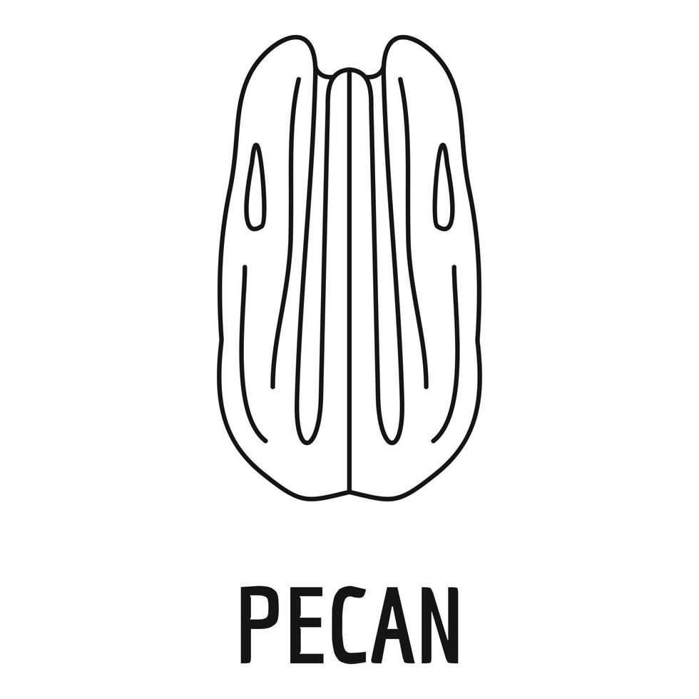 icône de noix de pécan, style de contour vecteur
