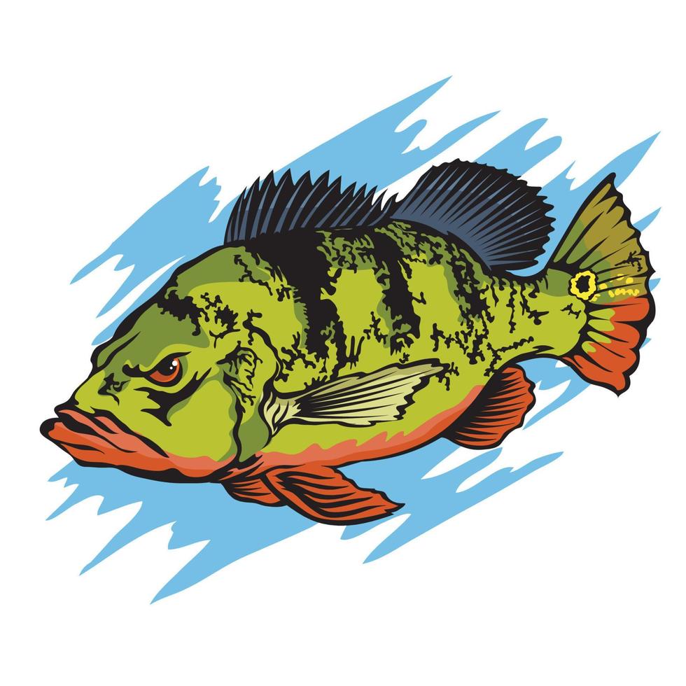 conception de logo d'illustration vectorielle de basse de paon, parfaite pour le club de pêche, le logo de tournoi et la conception de t-shirt vecteur