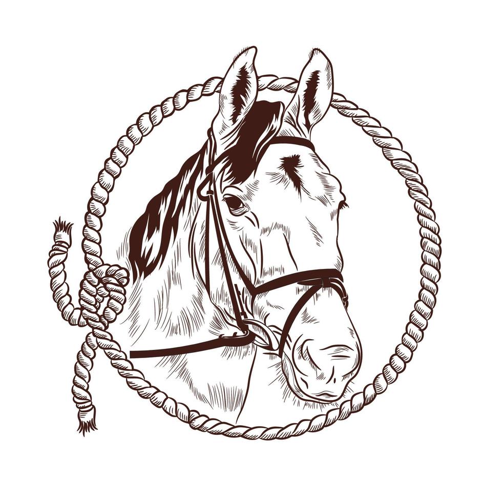 tête de cheval et illustration vectorielle de corde lasso. parfait pour le logo du ranch et de l'écurie vecteur