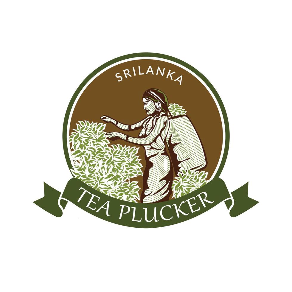 illustration vectorielle de femmes cueilleuses de thé, bon pour l'entreprise de thé et la création de logo d'étiquette de produit de marque vecteur