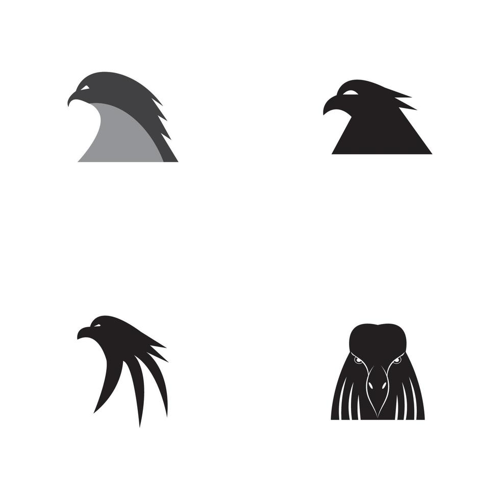 modèle de logo aigle faucon conception d'illustration vectorielle vecteur