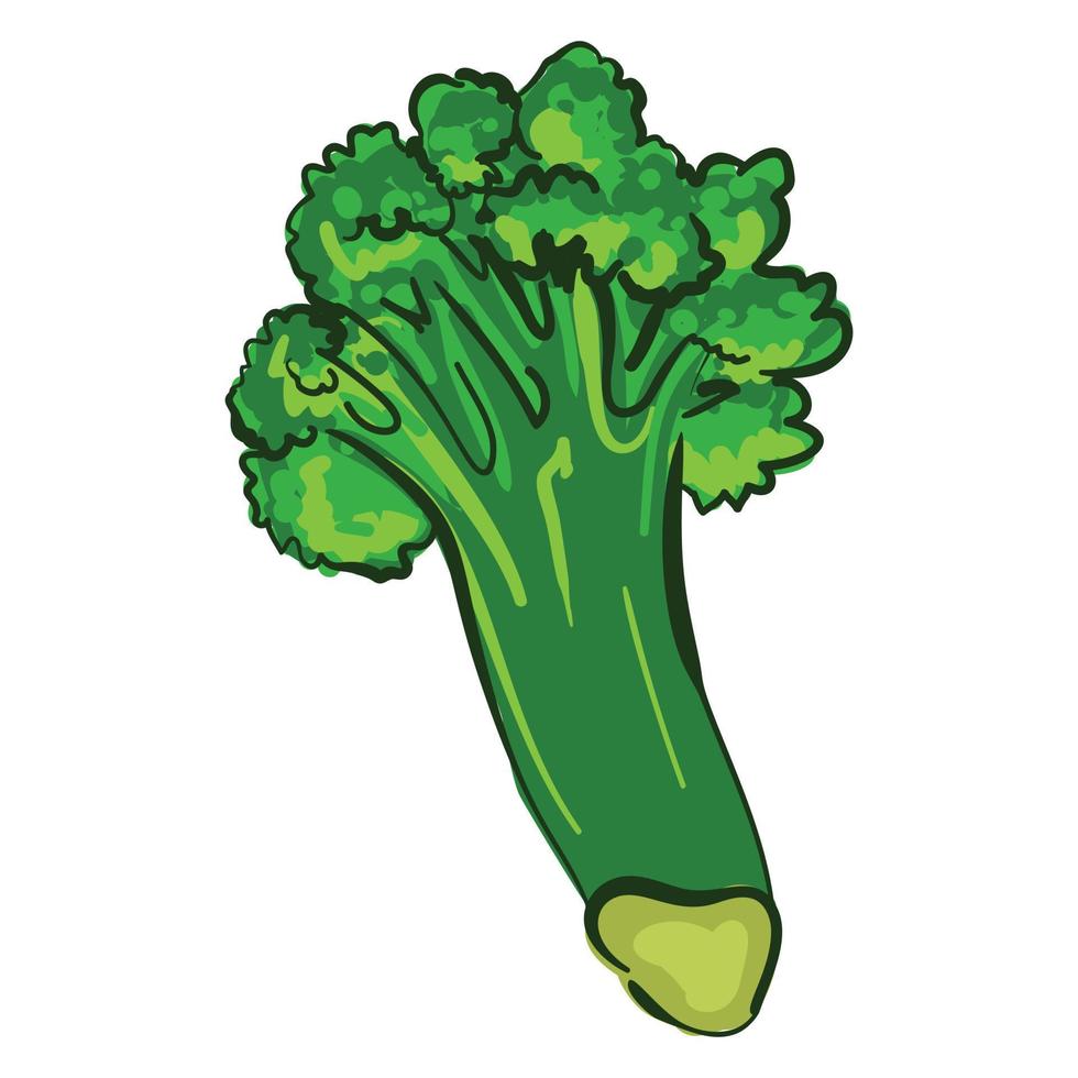 icône de brocoli bio, style cartoon vecteur