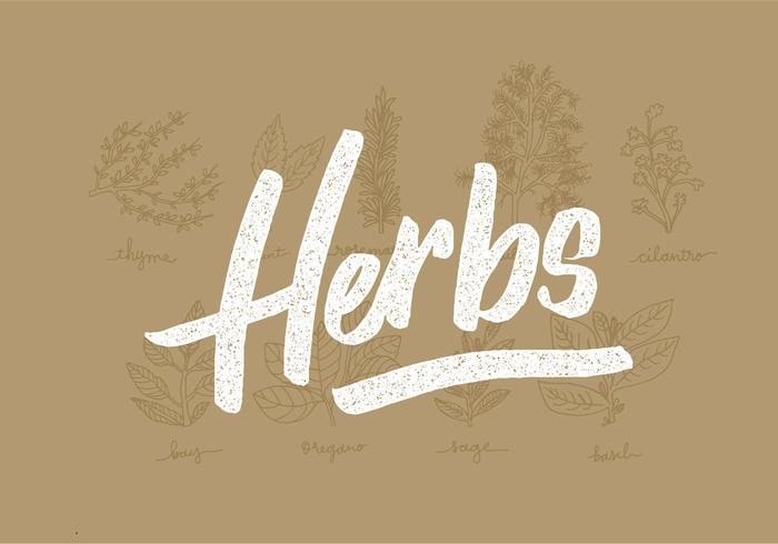 Dessins Ligne d'herbes fraîches vecteur