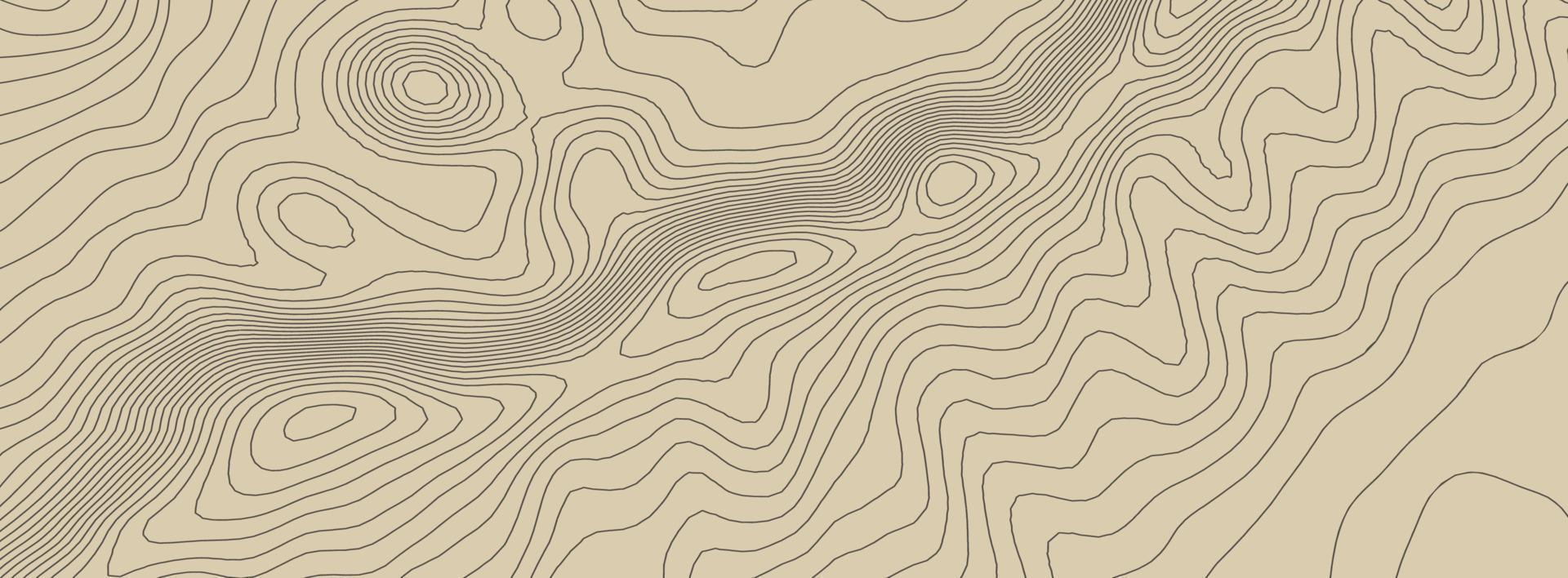 topographie vectorielle des contours. illustration vectorielle de topographie géographique de montagne. texture de motif topographique. lignes de hauteur de contour graphique d'élévation. vecteur