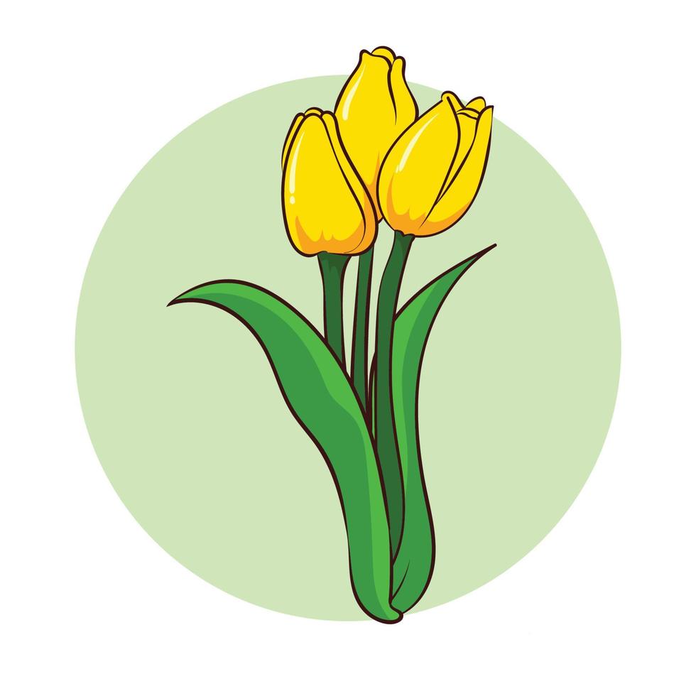 belles tulipes dessinées à la main vecteur