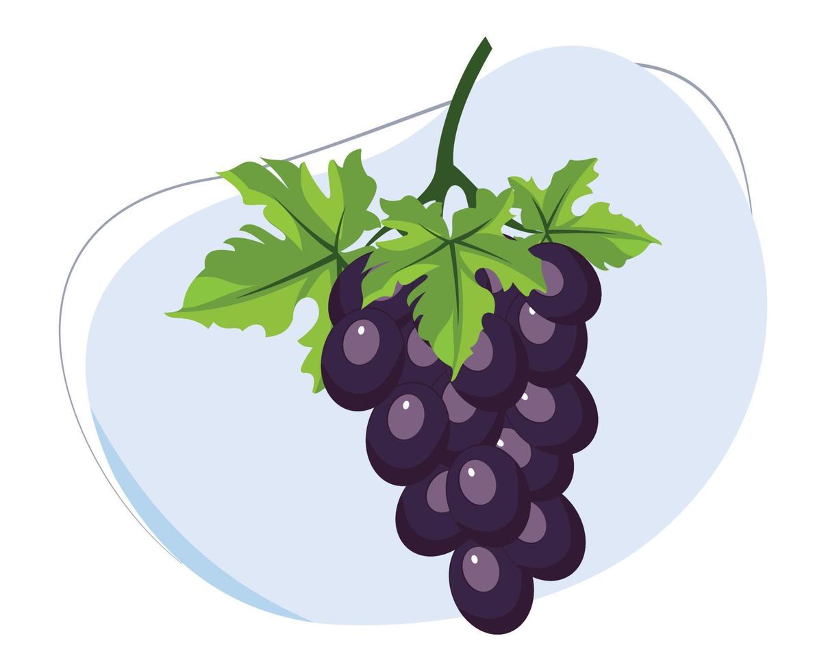 vecteur de dessin animé d'aubergine pour l'éducation sur les fruits et légumes fruits nutritifs sains. vecteur de conception plate