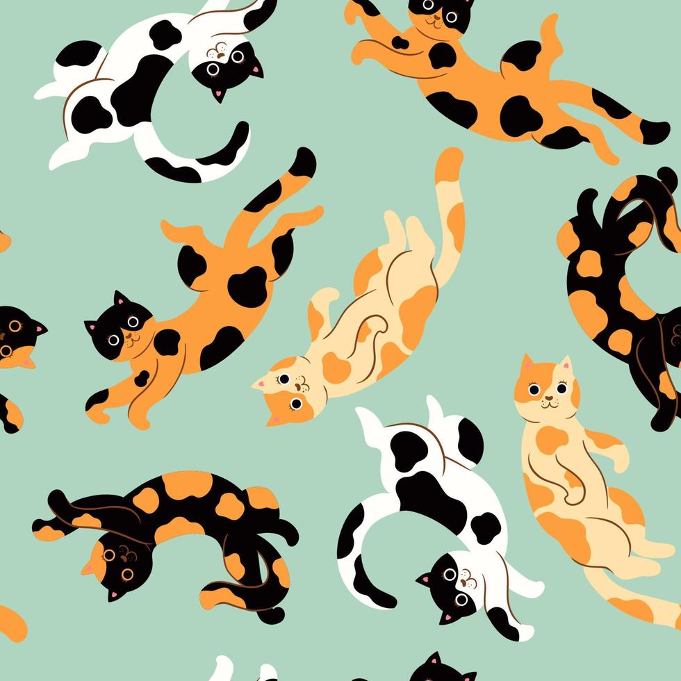 modèle sans couture avec des chats tachetés mignons. graphiques vectoriels. vecteur