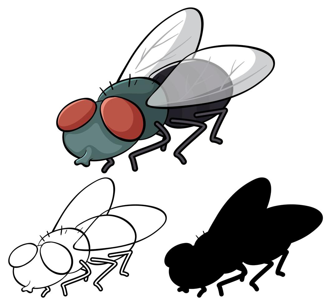 ensemble de dessin animé de mouche vecteur