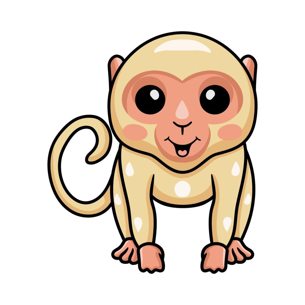 dessin animé mignon petit singe albinos vecteur