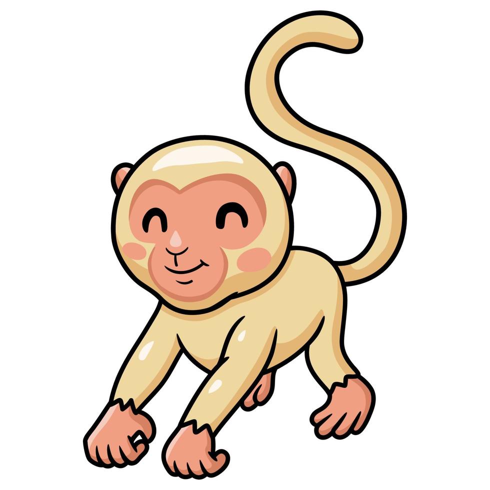 dessin animé mignon petit singe albinos vecteur