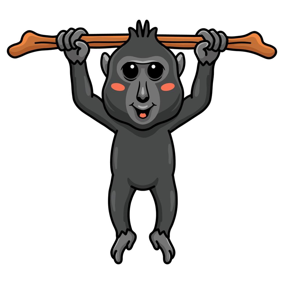 mignon petit dessin animé de macaque noir à crête suspendu à un arbre vecteur