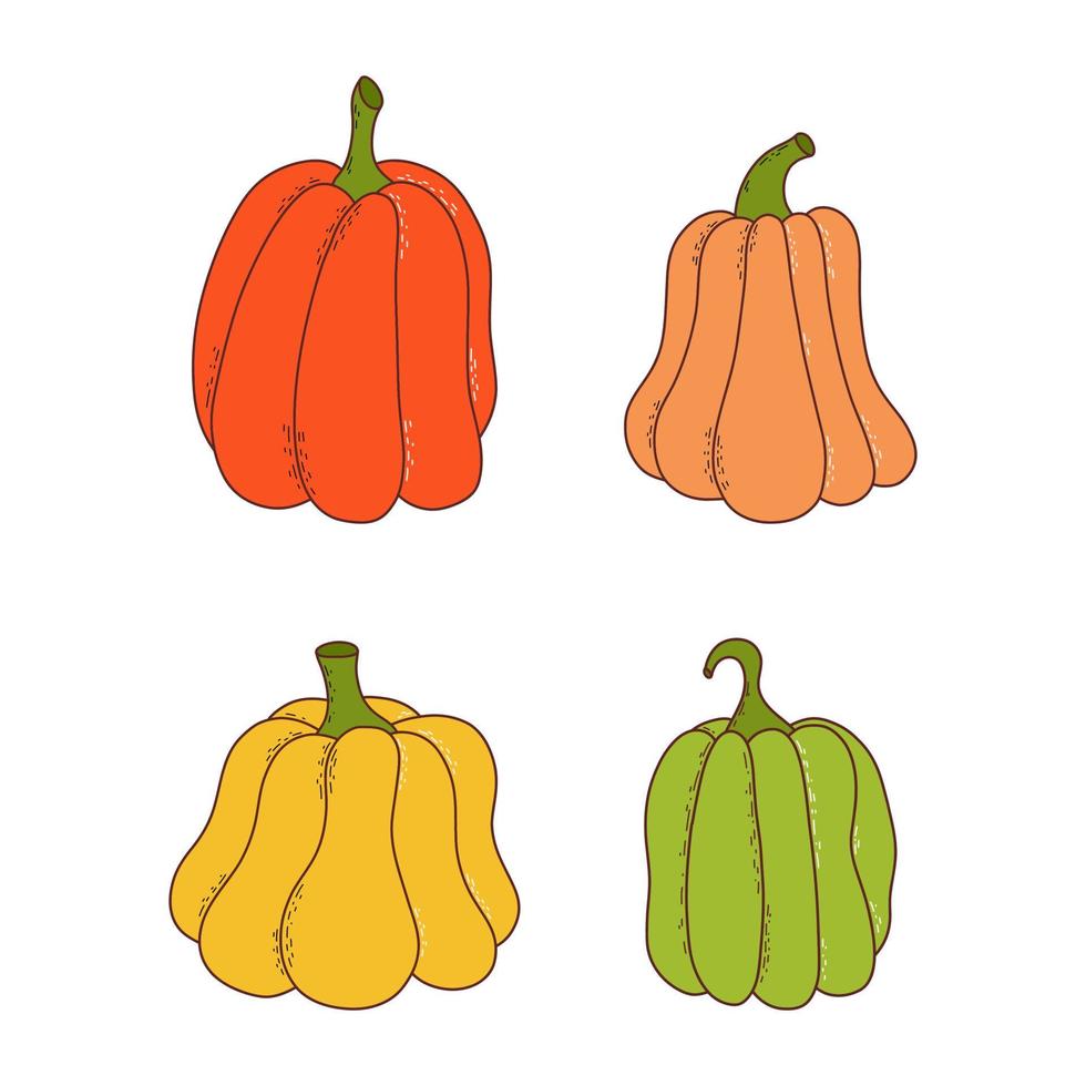 ensemble de citrouille de différentes formes et couleurs. éléments d'action de grâces et d'halloween. illustration vectorielle dans un style dessiné à la main vecteur