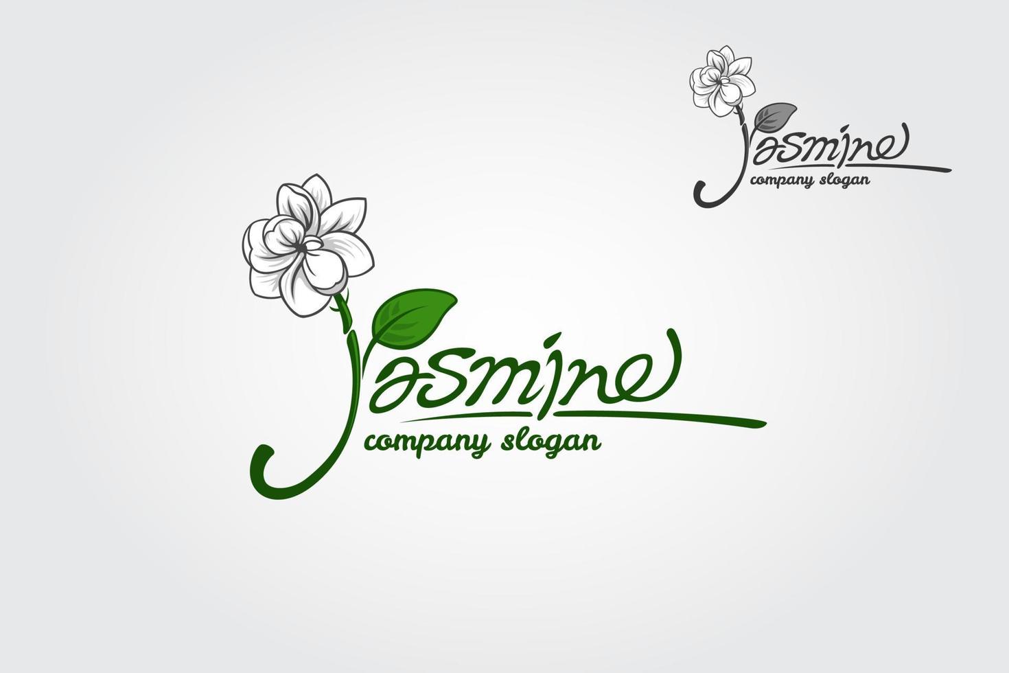 jasmine est une police de script de luxe avec une touche d'écriture élégante, très élégante et moderne. conçu pour ceux qui ont besoin d'un logo illustratif, fiable, mémorable, modifiable, simple et polyvalent. vecteur