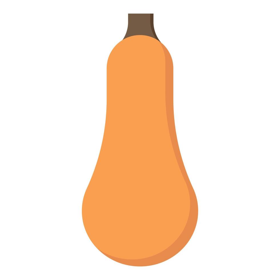 icône plate de citrouille de noix de muscade. nourriture saine. illustration vectorielle isolée. saison de l'automne. vecteur