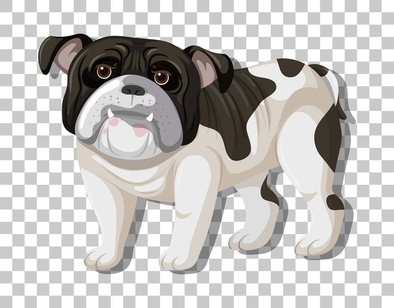 bouledogue blanc noir en position debout caricature vecteur