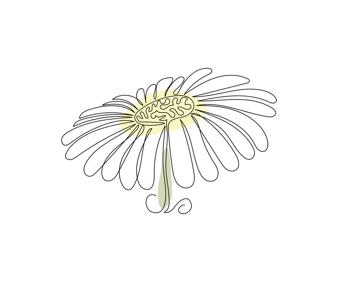 la fleur de marguerite est dessinée à la main dans un style minimaliste, dans la technique d'une ligne, ligne mono. symbole cosmétique, logo de salon de beauté vecteur